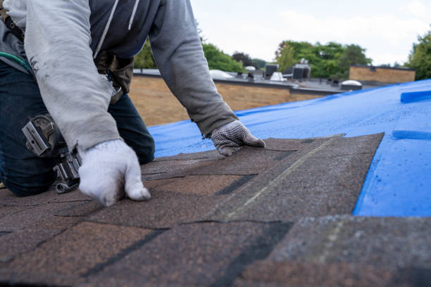 Best Flat Roof Repair Services  in New Boston, TX