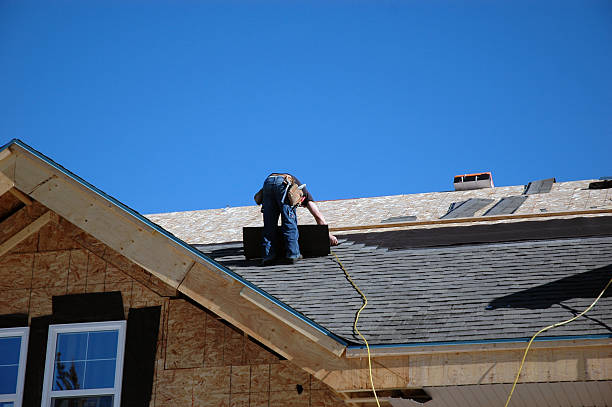 Best Roof Maintenance Services  in New Boston, TX